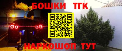 кокс Славгород