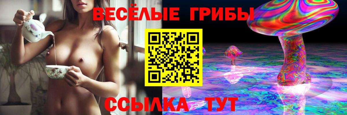 Псилоцибиновые грибы мицелий  Вход с VPN  Псилоцибиновые грибы ЛСД  Орск 